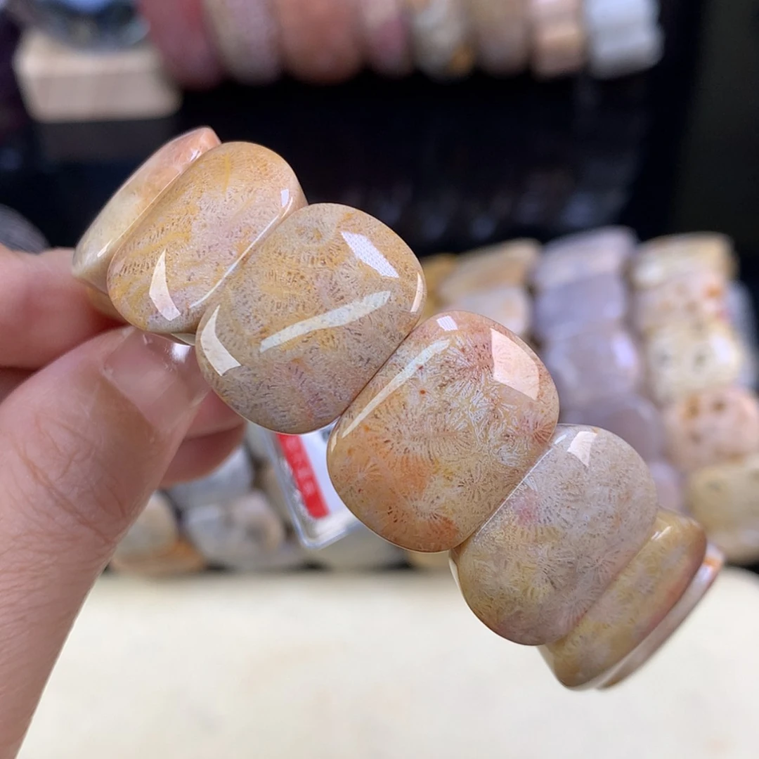 【闪购商品】颈饰未镶嵌硅化珊瑚（珊瑚玉）开播福利15号