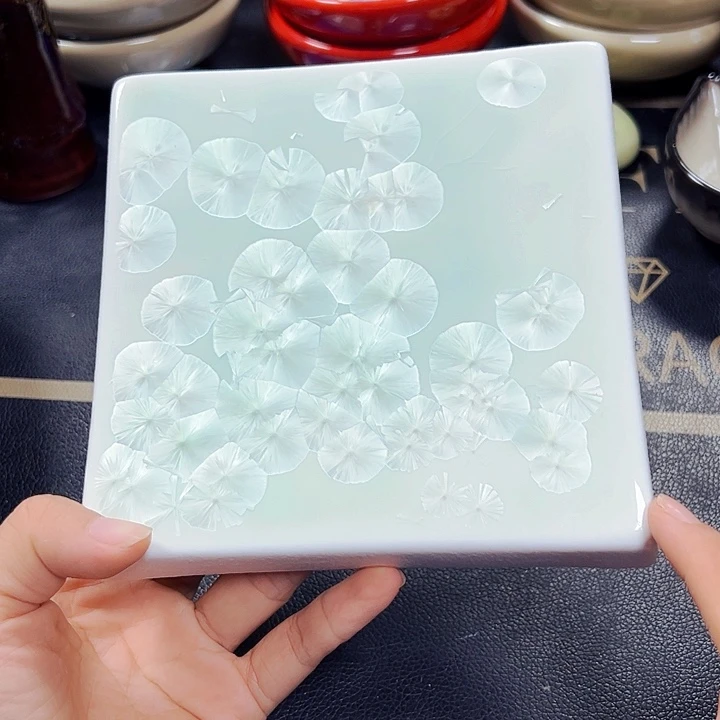 瓷本店全场拍满。20包邮。