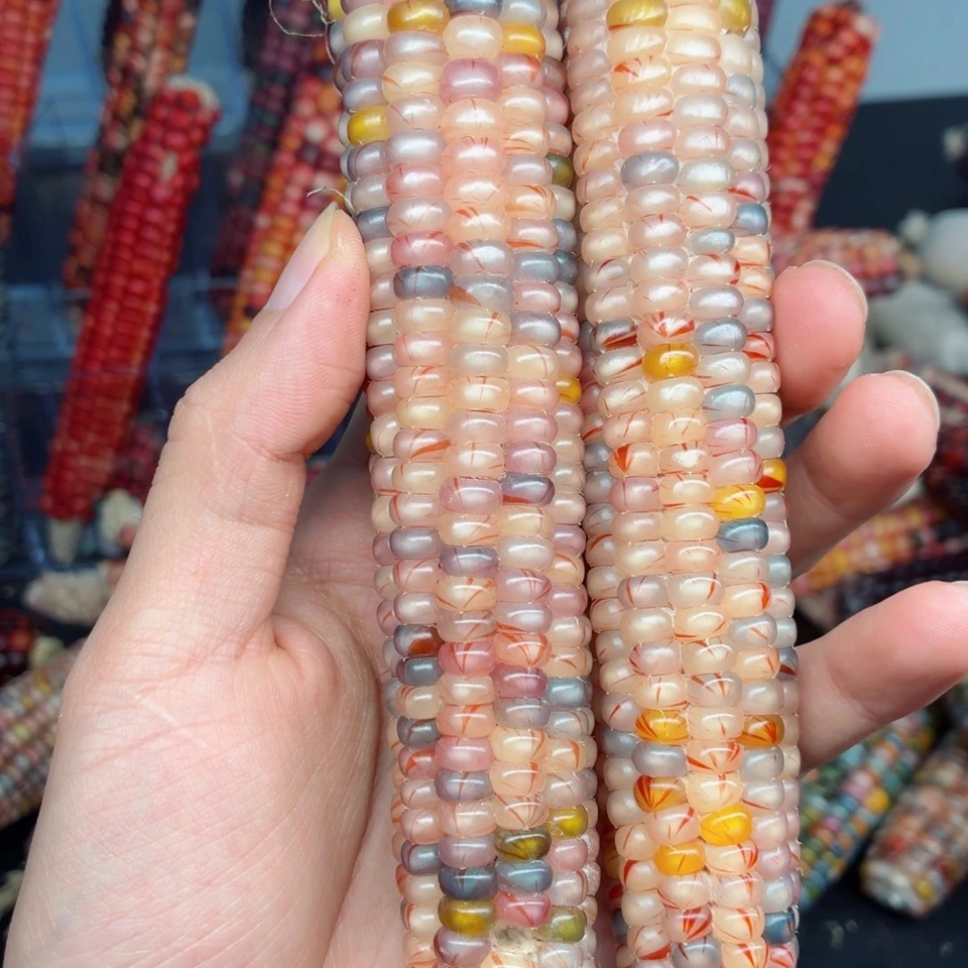 遥***儿白玉菩提吊坠文玩精品文玩精品