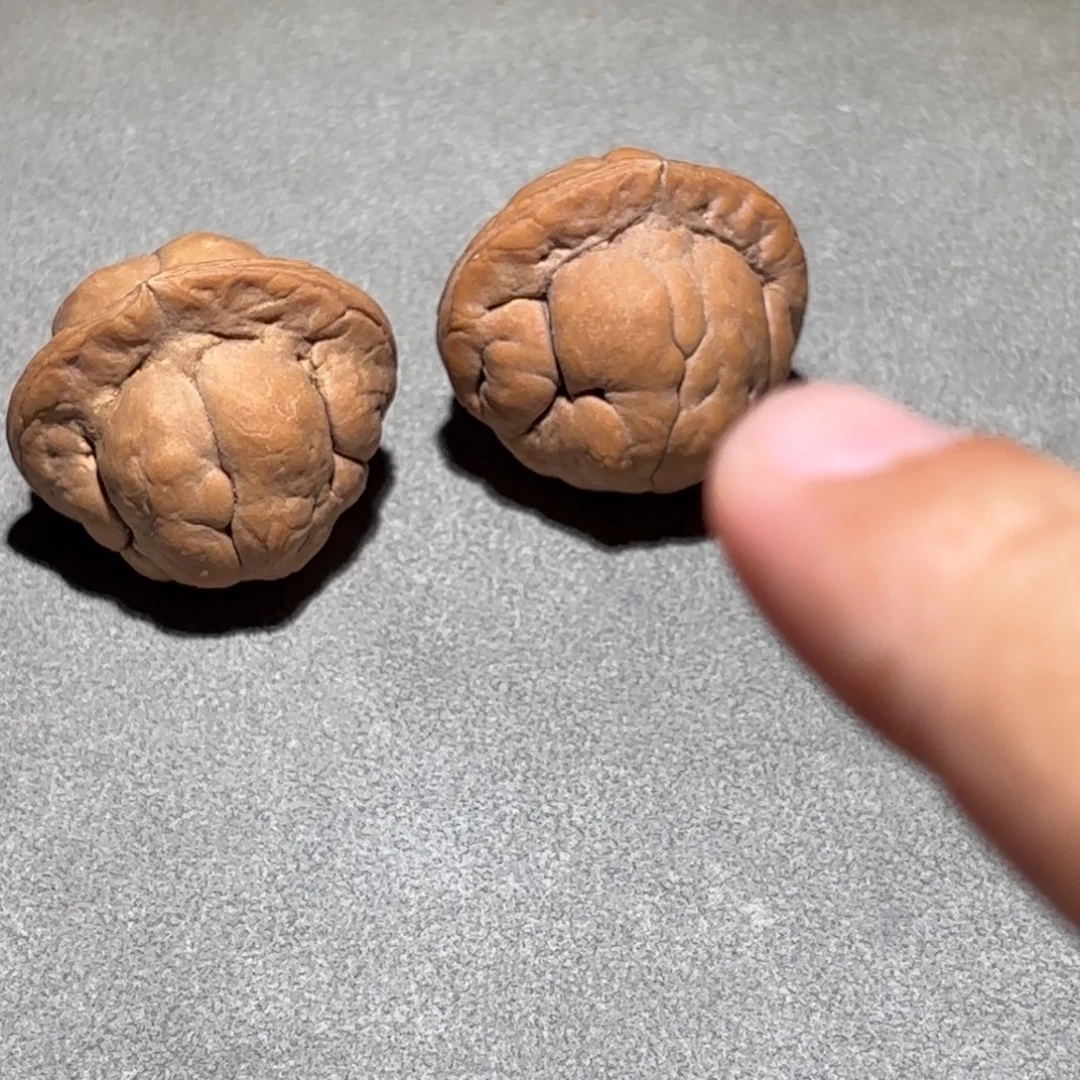 桃核吊坠金刚鹦鹉