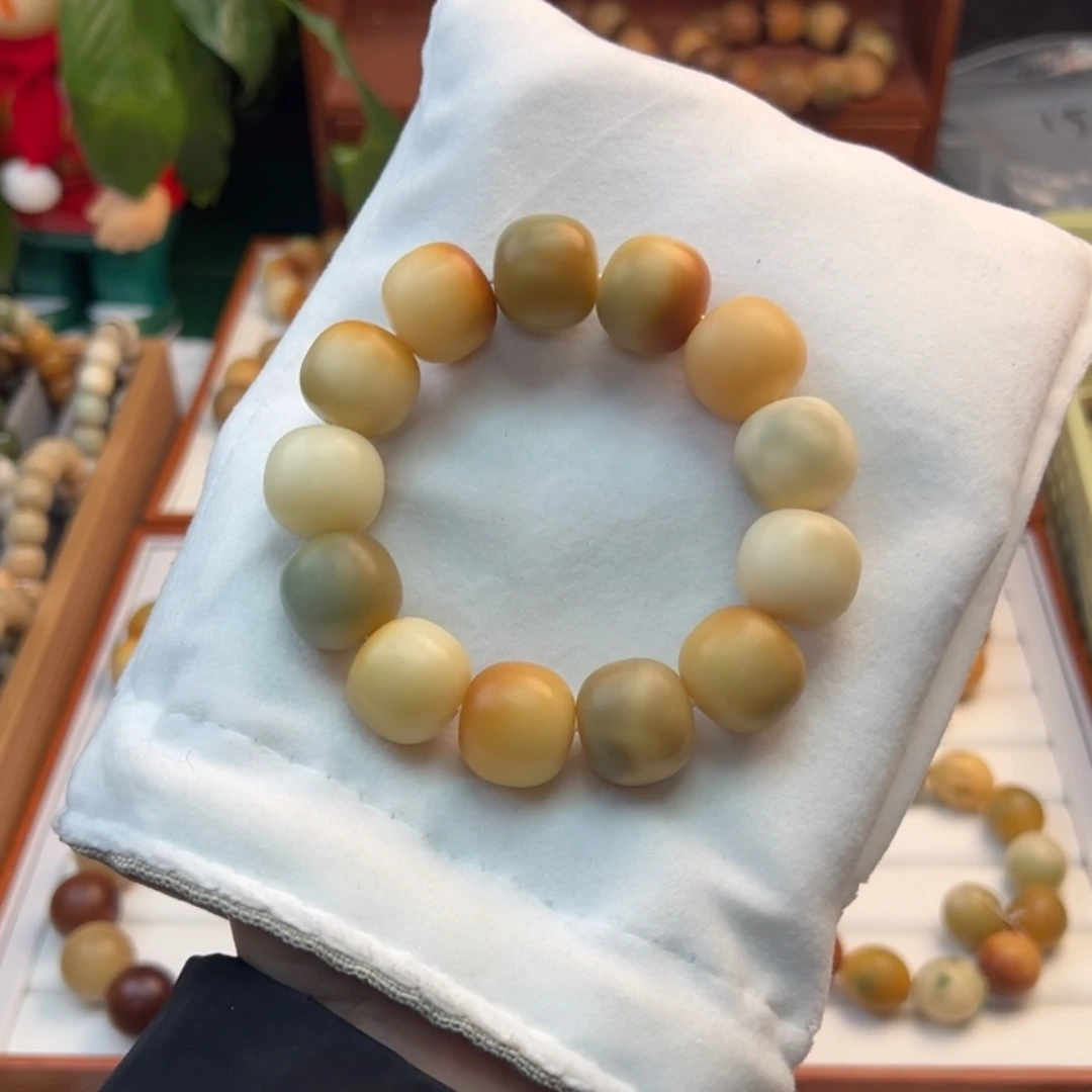 菩提根/象牙果手串卡19桶珠干磨微瑕