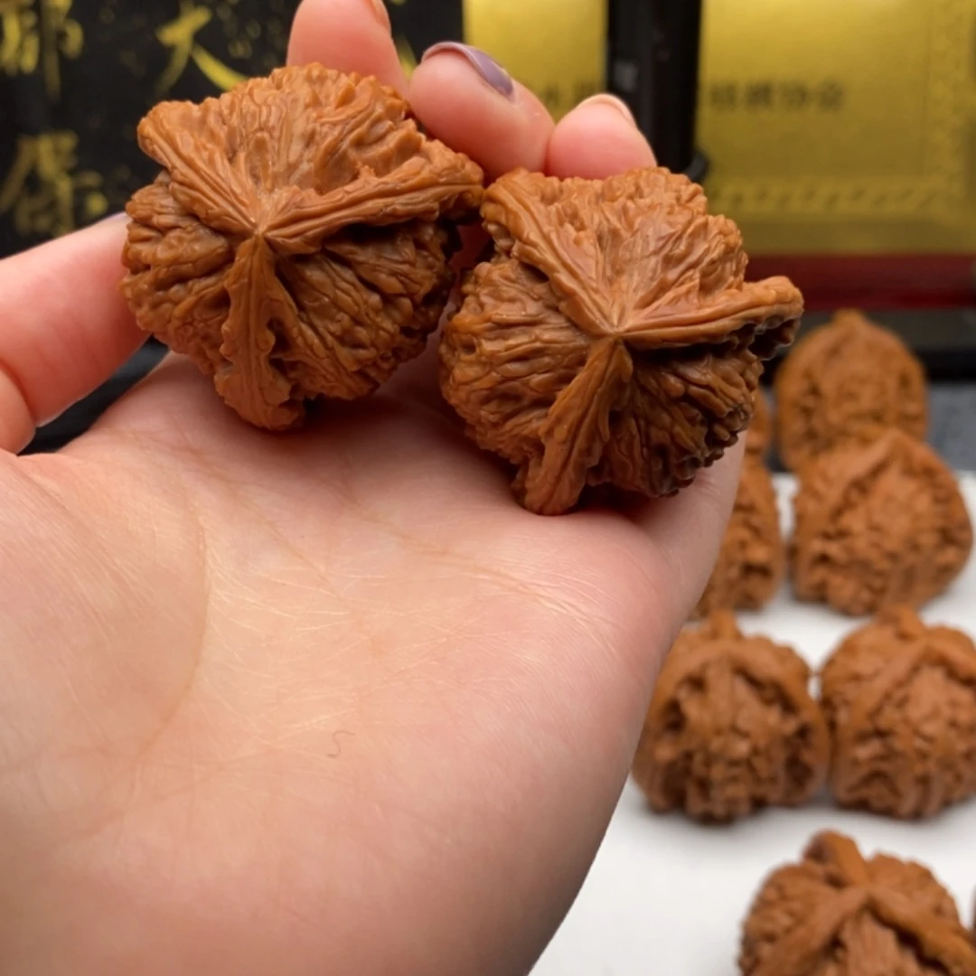 十**醺白狮子1111111