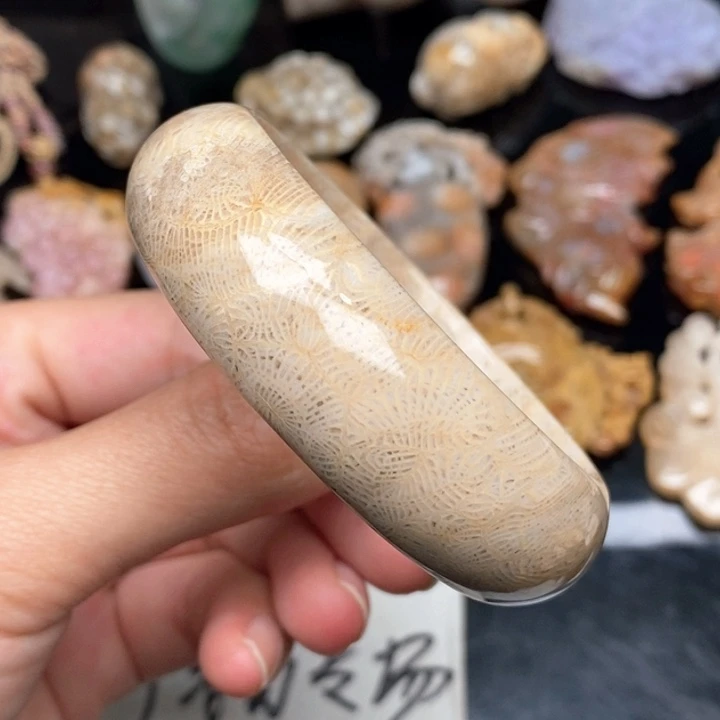 硅化珊瑚（珊瑚玉）手镯未镶嵌52.9