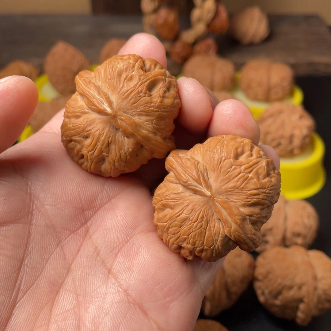 大叶紫檀（黑酸枝木类）゛*核农文玩核桃元宝福利对