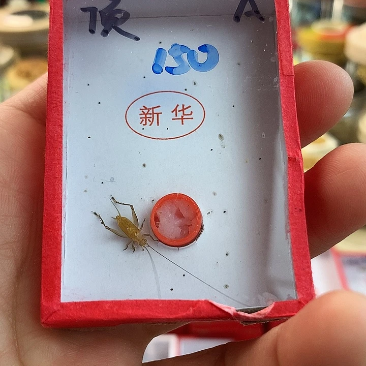 ㊣***㊖补差价大黄啊啊啊啊啊