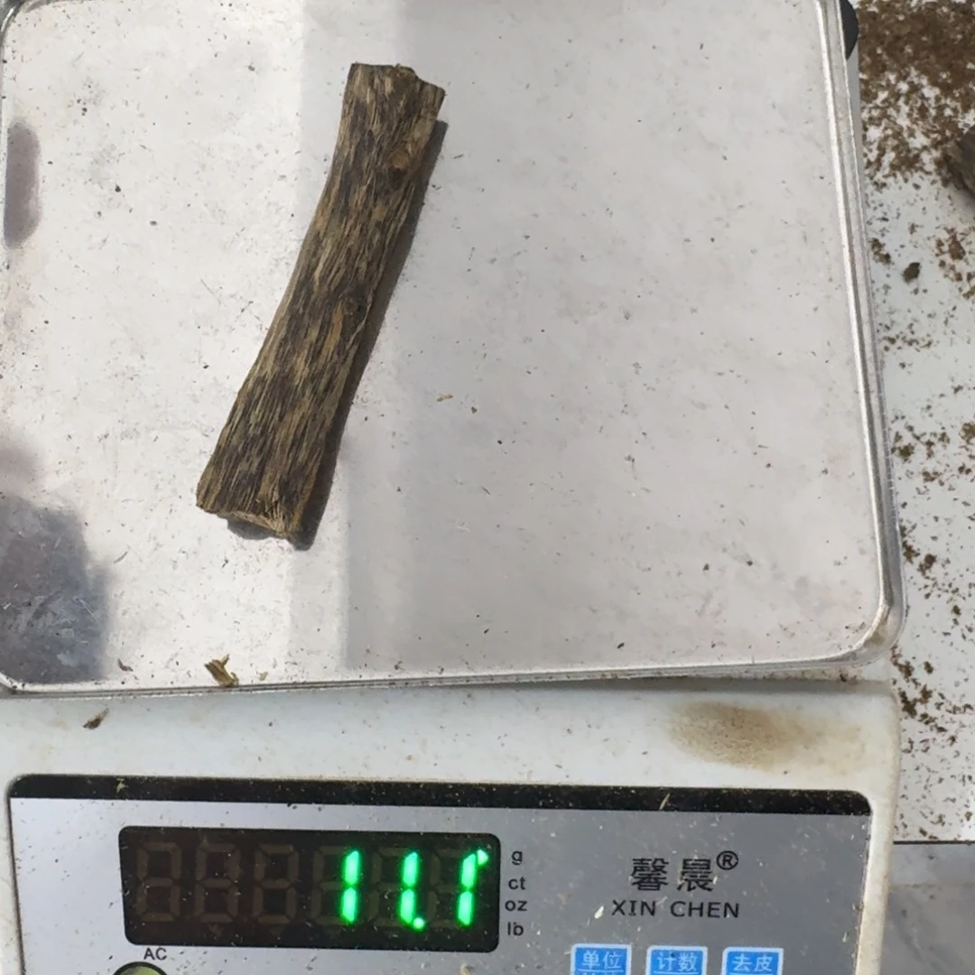 沉香碎屑沉香绿绮楠沉香11.2克