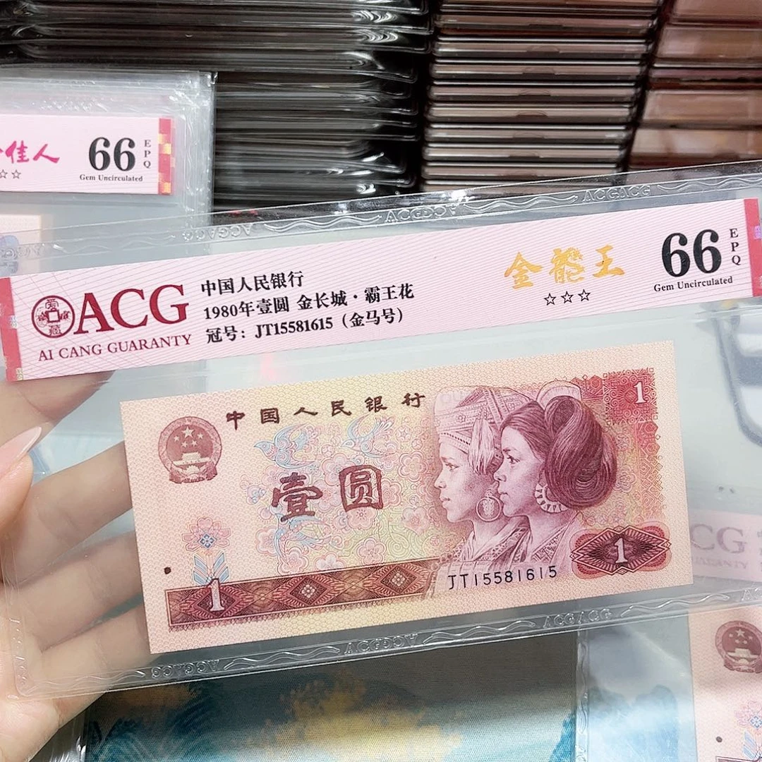 15581615。。。。金龙王