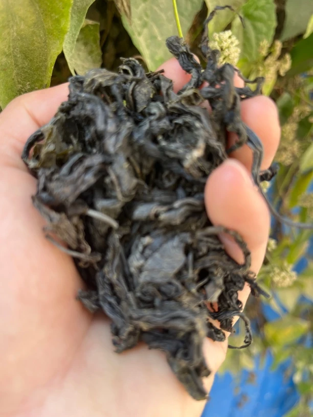 【彭彭现収山货】养-肝-茶500g-1000g-食用农产品