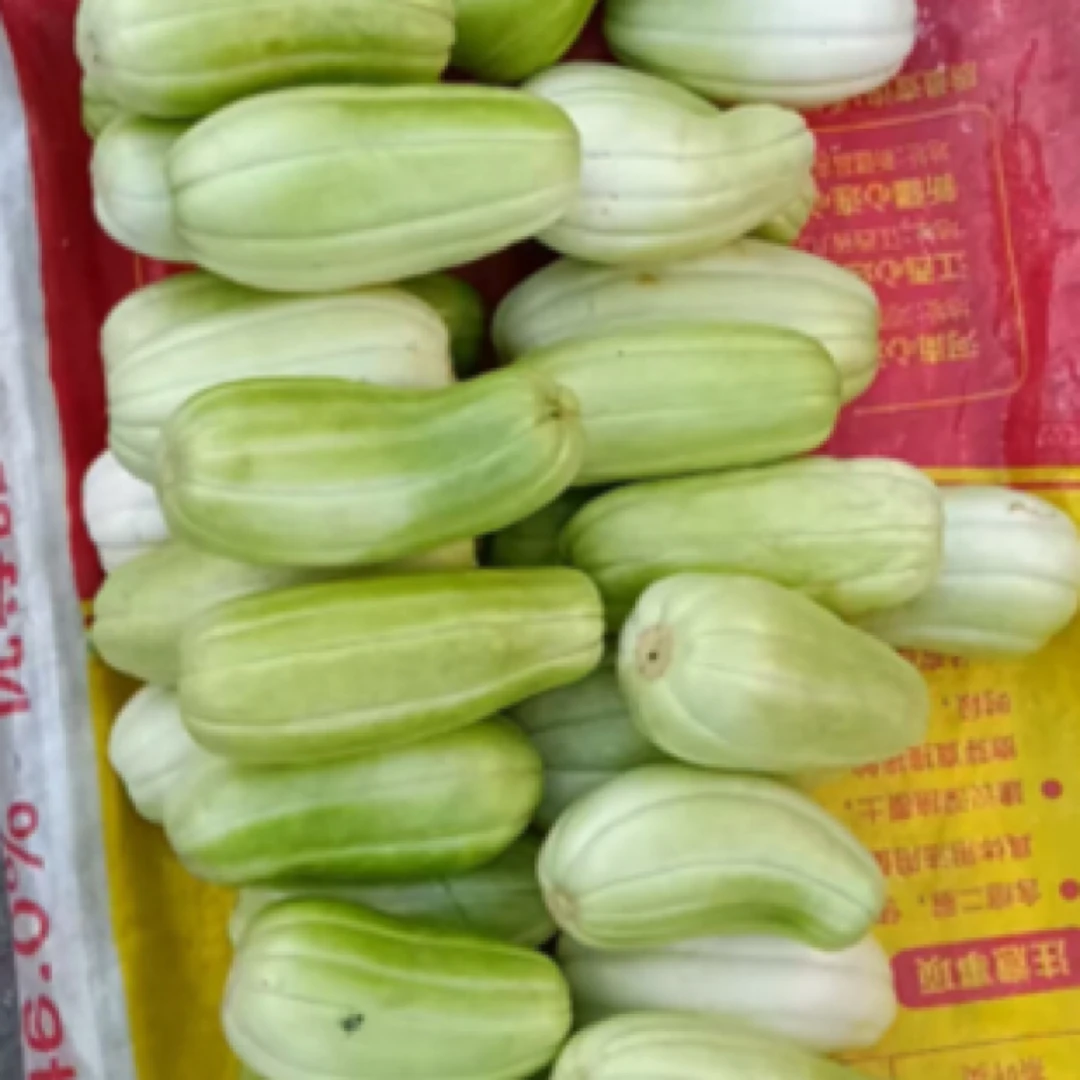 安徽农家自种菜园露天菜瓜