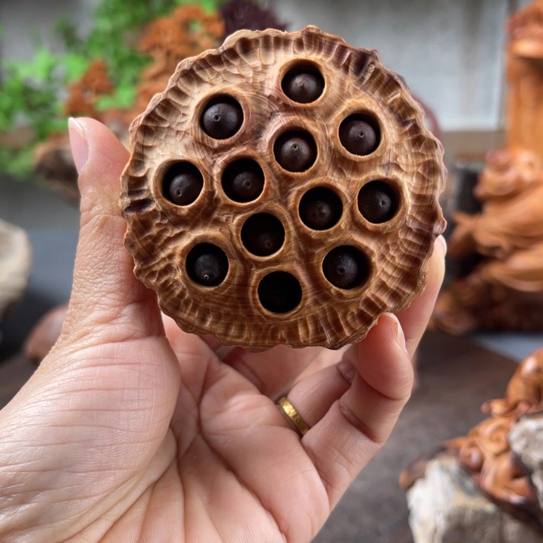 柏木（崖柏）崖柏太行山脉