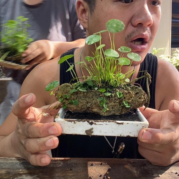 无花朵退款拉黑拉黑70