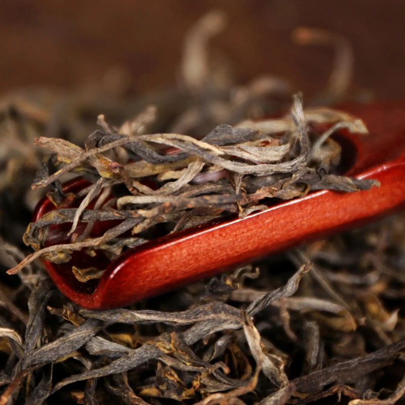 2015年白莺山头春头采古树老生茶