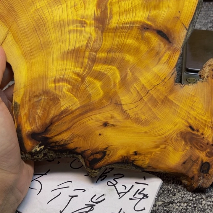 柏木（崖柏）崖柏43