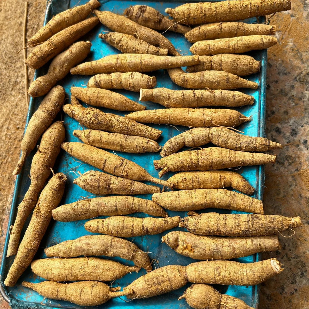 农村土特产牛大力次牛蛋粉质薯纯天然无添加煲汤煮水泡酒好料