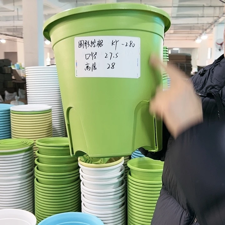 正品圆控口27.5高28果绿无托5只