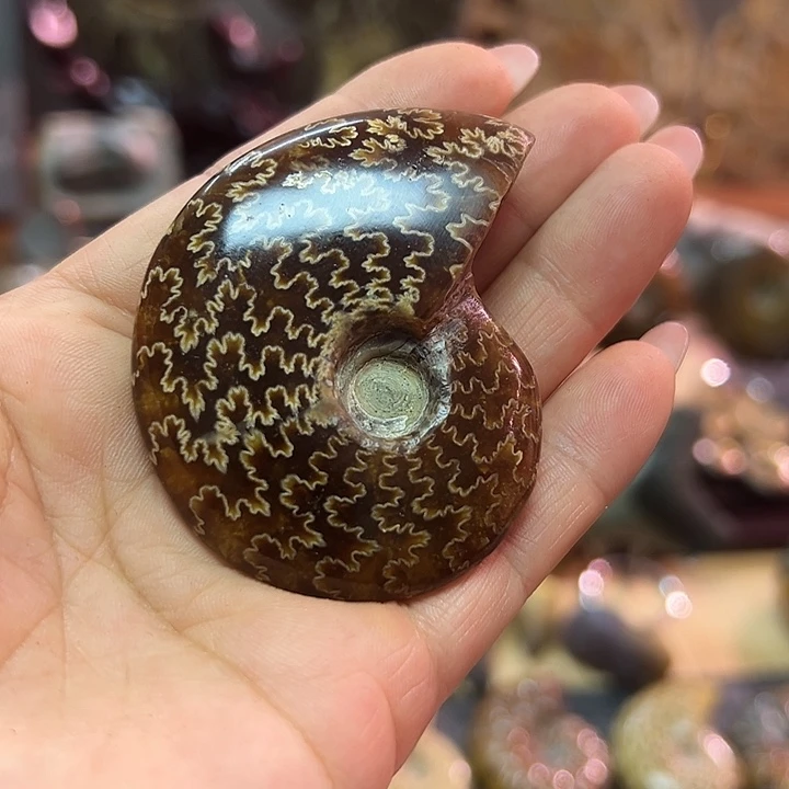 半***色石材家居装饰摆件螺