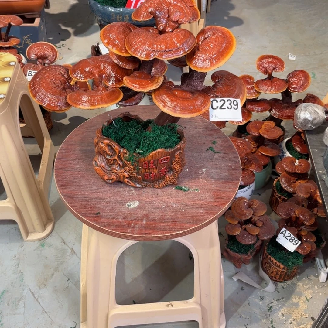 重***楼绿植88888888888888888888888