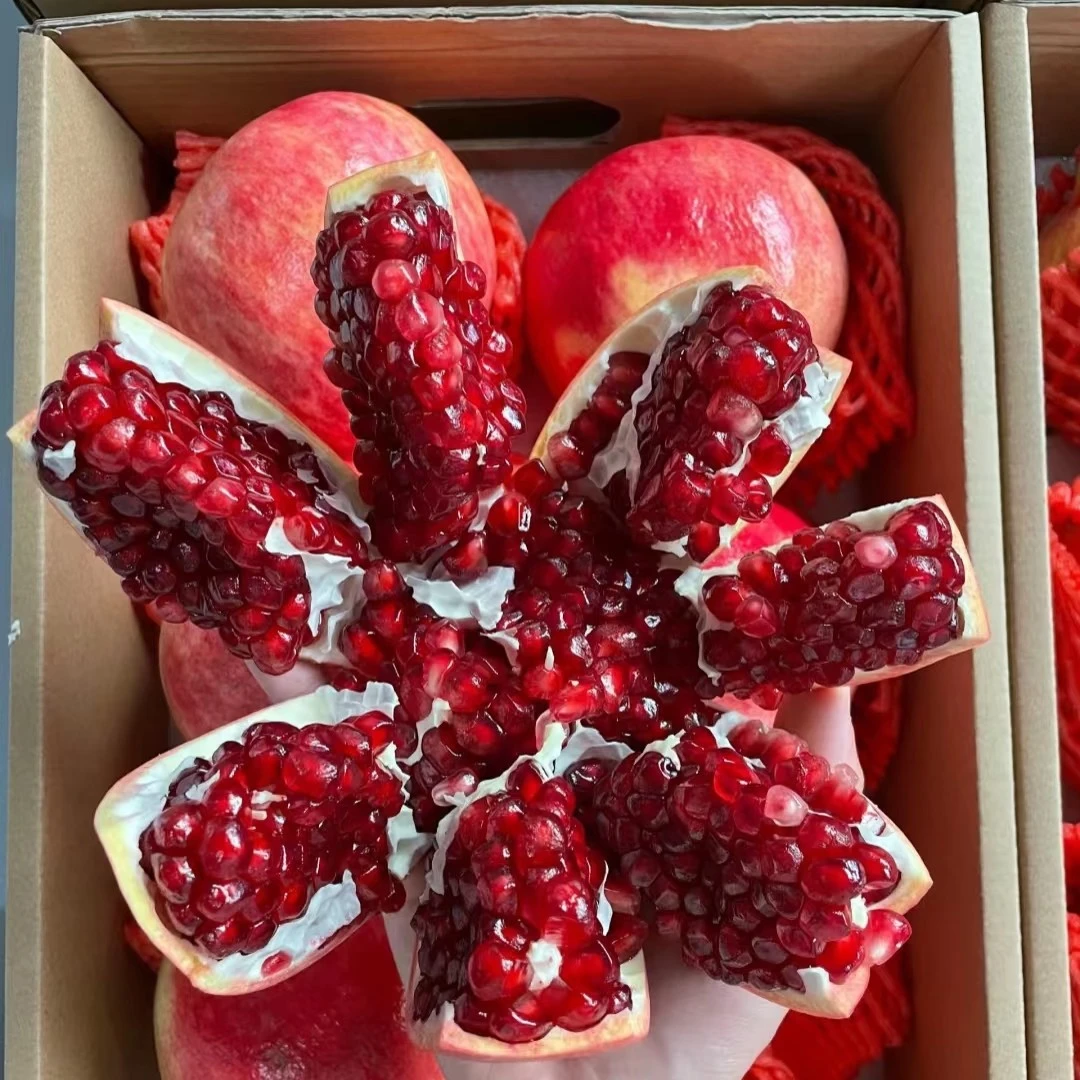 软籽甜石榴六颗（大果一斤左右一颗）