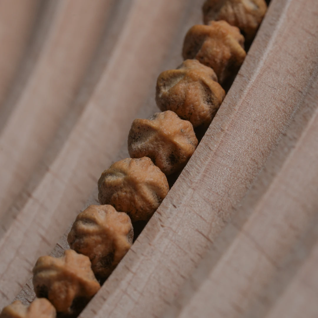 【太和奢品】AE236 高端定制文玩百香籽长串 尺寸6mm左右