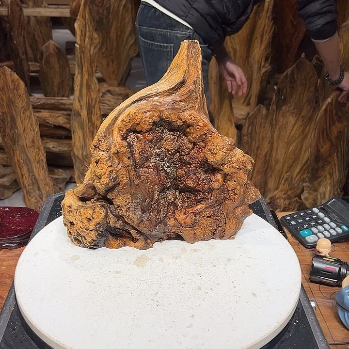 松木（琥珀木）云*扬