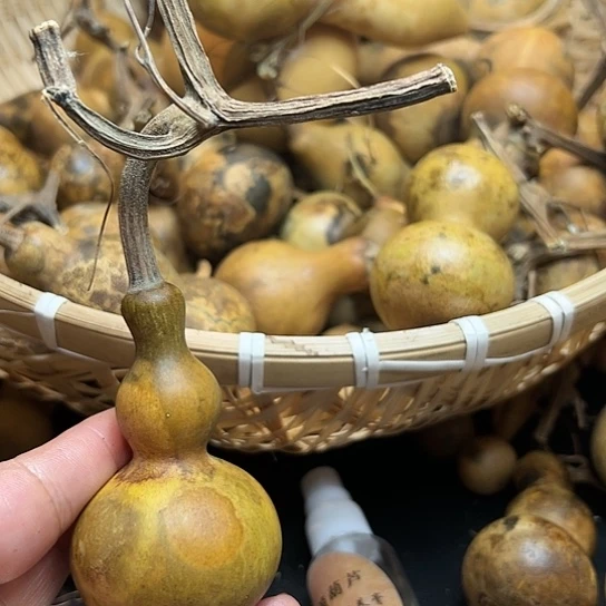 淡****⁶葫芦葫芦葫芦葫芦葫芦