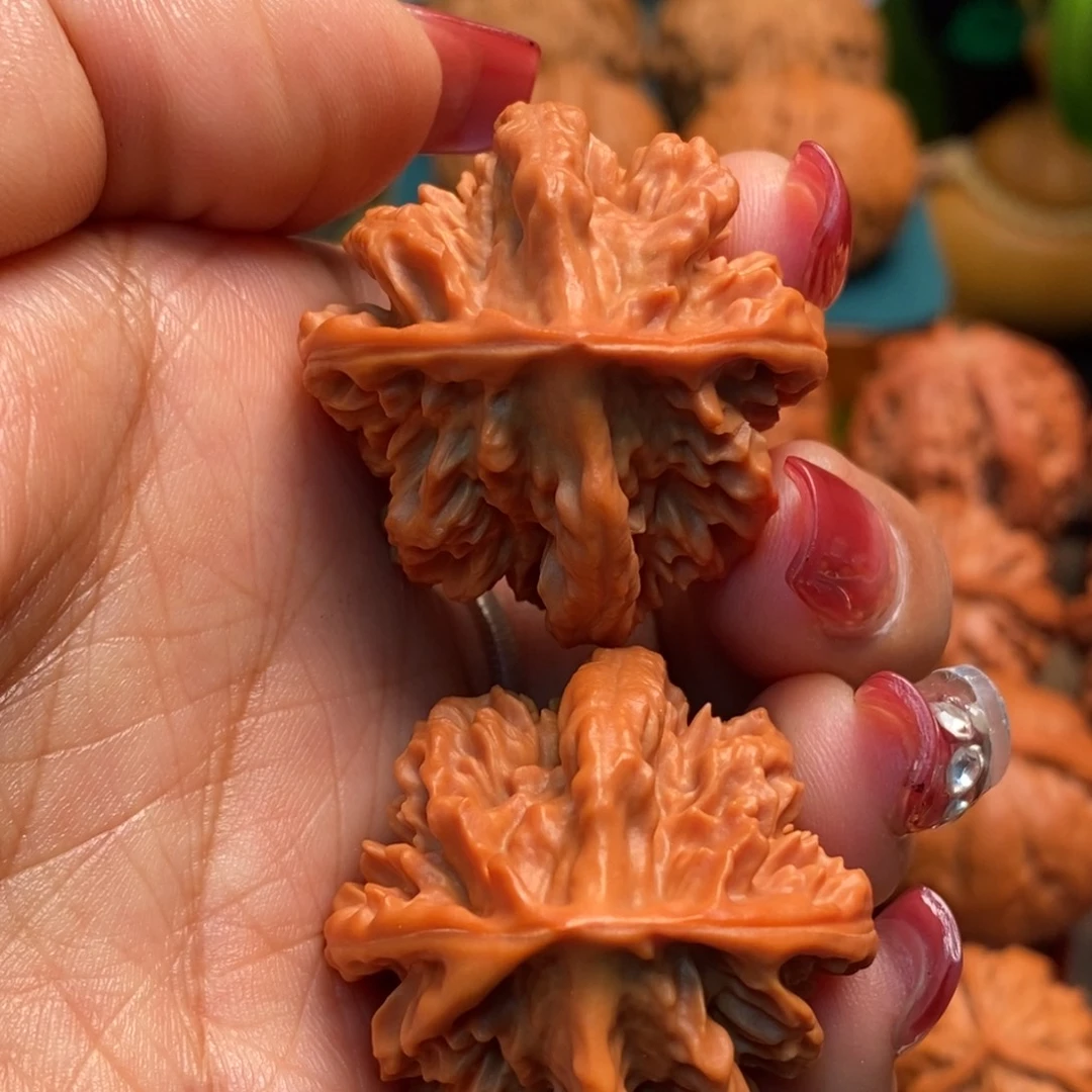 把件文玩核桃梅花龙脊背