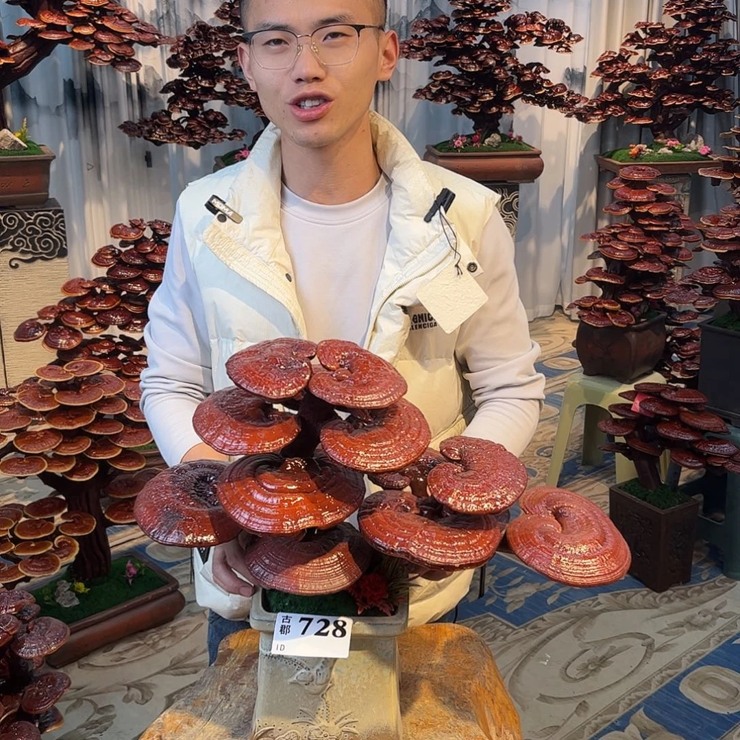 无花朵888888888888
