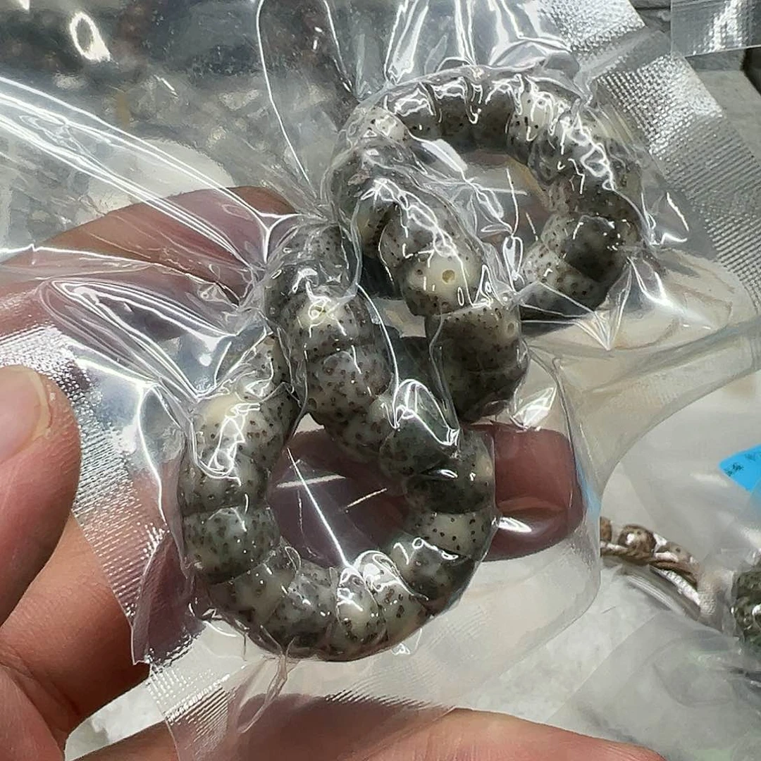 星月菩提手串187荣耀绿星月菩提单圈大肠1.0