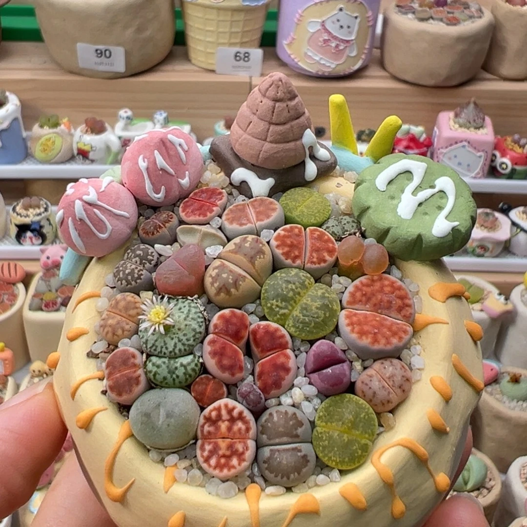 多肉植物119号彩色