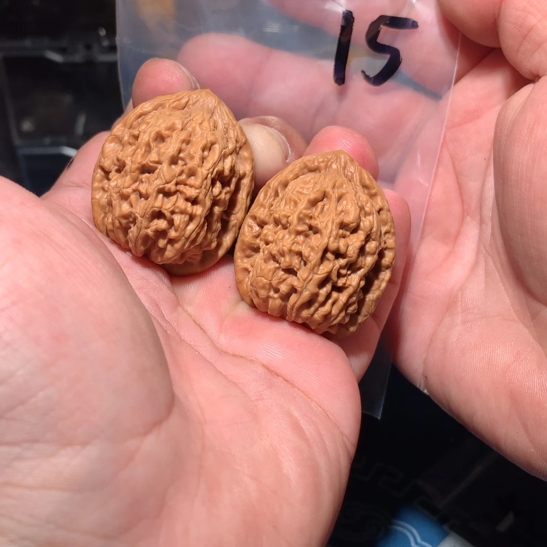 文玩核桃吊坠蚂蚁王 15