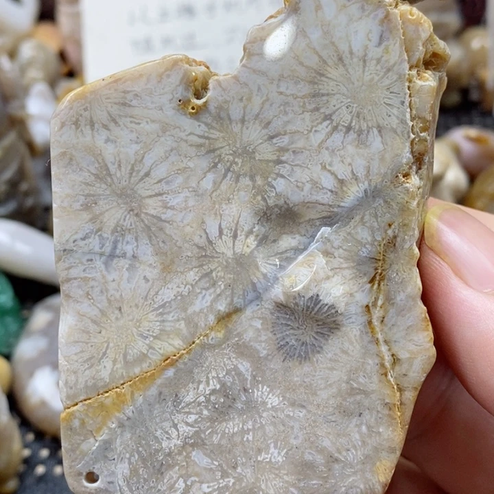 硅化珊瑚（珊瑚玉）颈饰未镶嵌