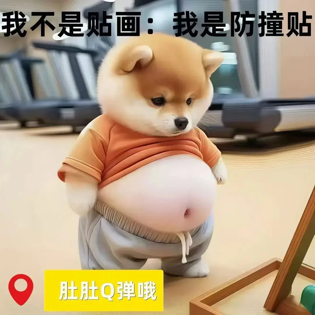 柴犬立体开门防撞贴纸大肚皮小狗捏捏乐创意解压家居好物