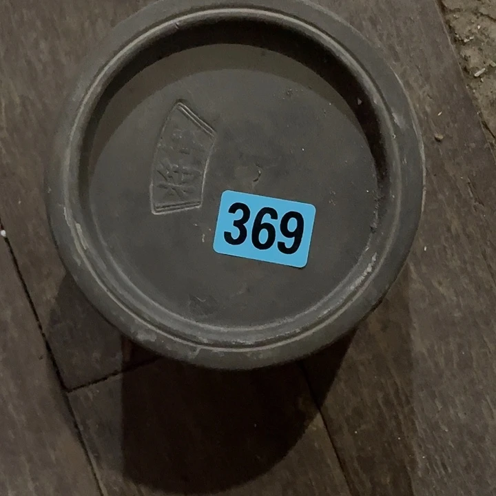 龙***化民俗文化研究中心