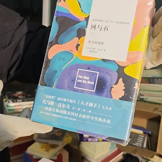 网与石两本一套库存书