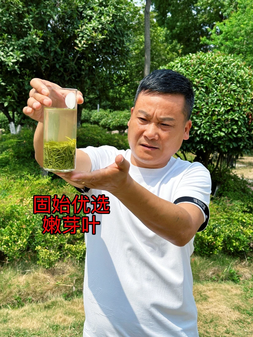 2025固始优选嫩芽叶（高性价比）