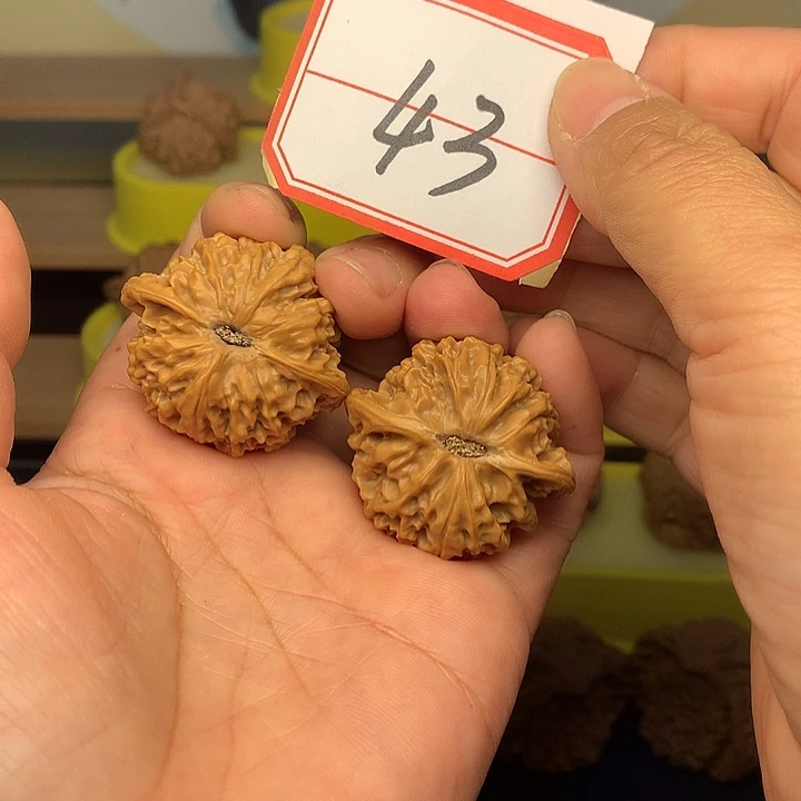 把件文玩核桃龙珠