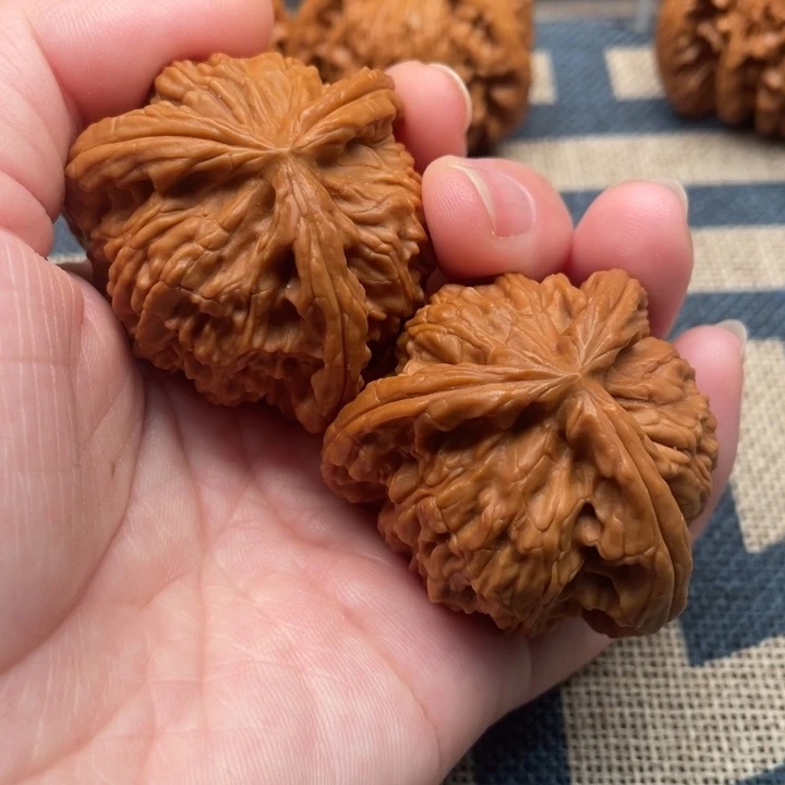 F***t核桃白狮子41核桃