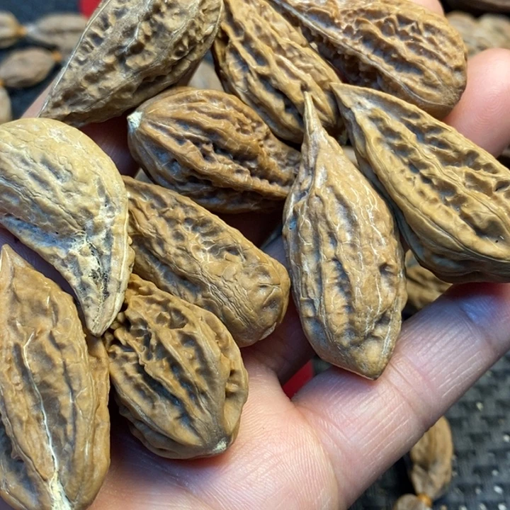 吊坠文玩核桃娜姐69