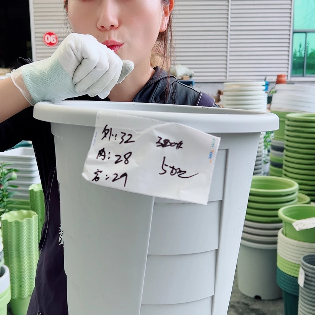 玫瑰盆320#灰白5个无托