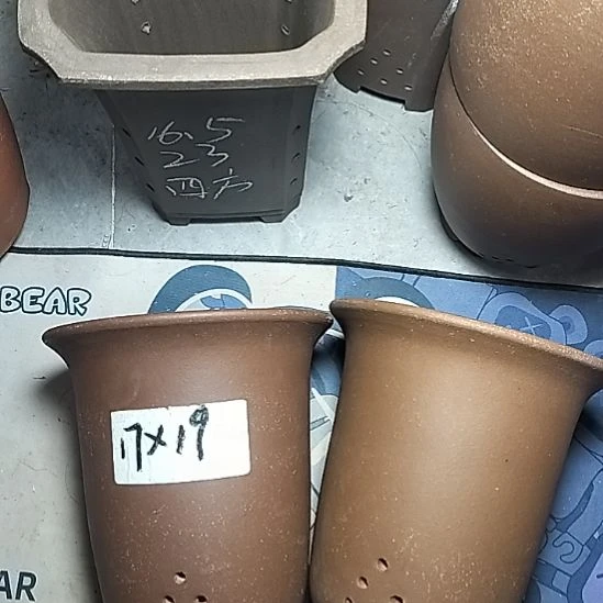 小号金钟两个花盆