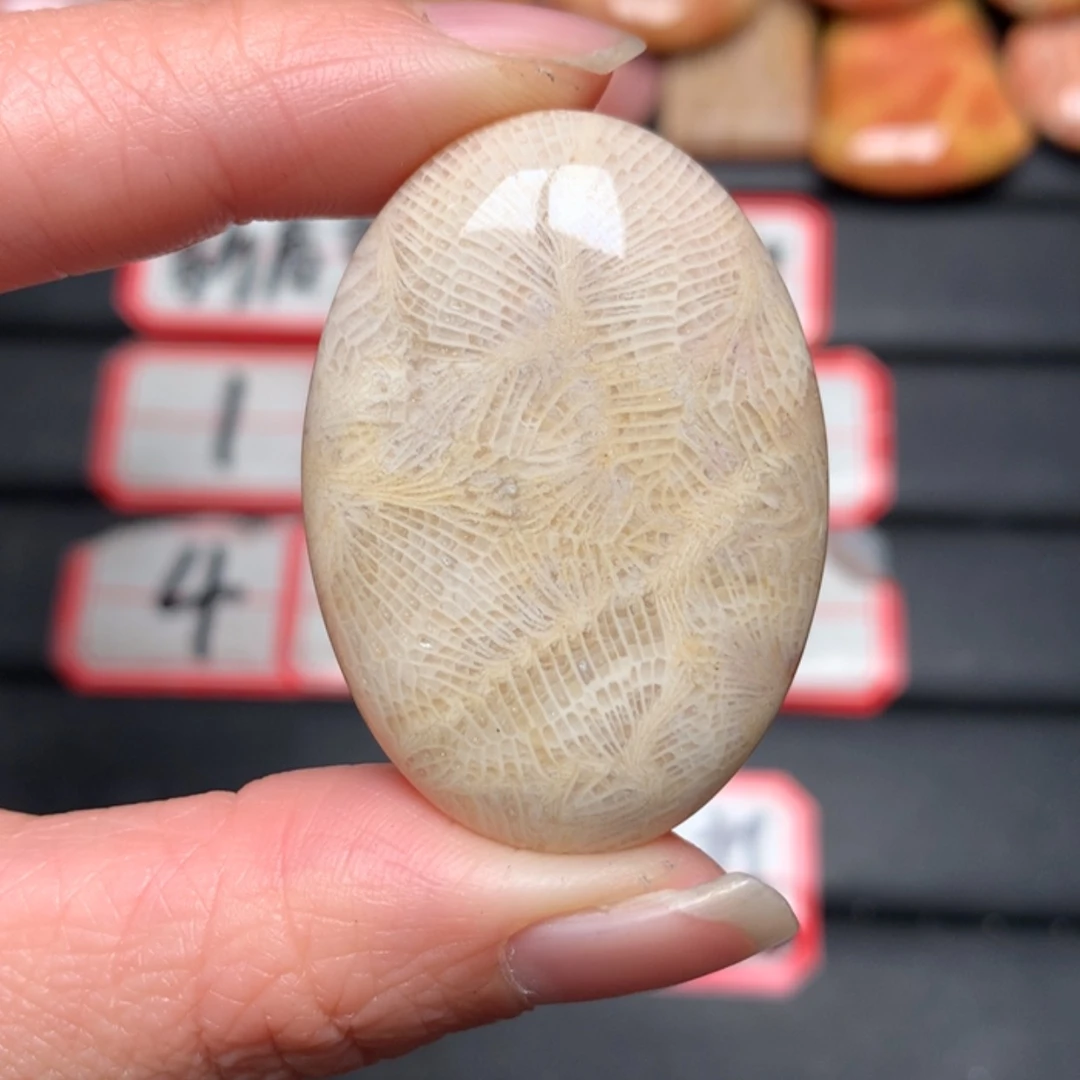 【闪购商品】硅化玉颈饰未镶嵌G**a