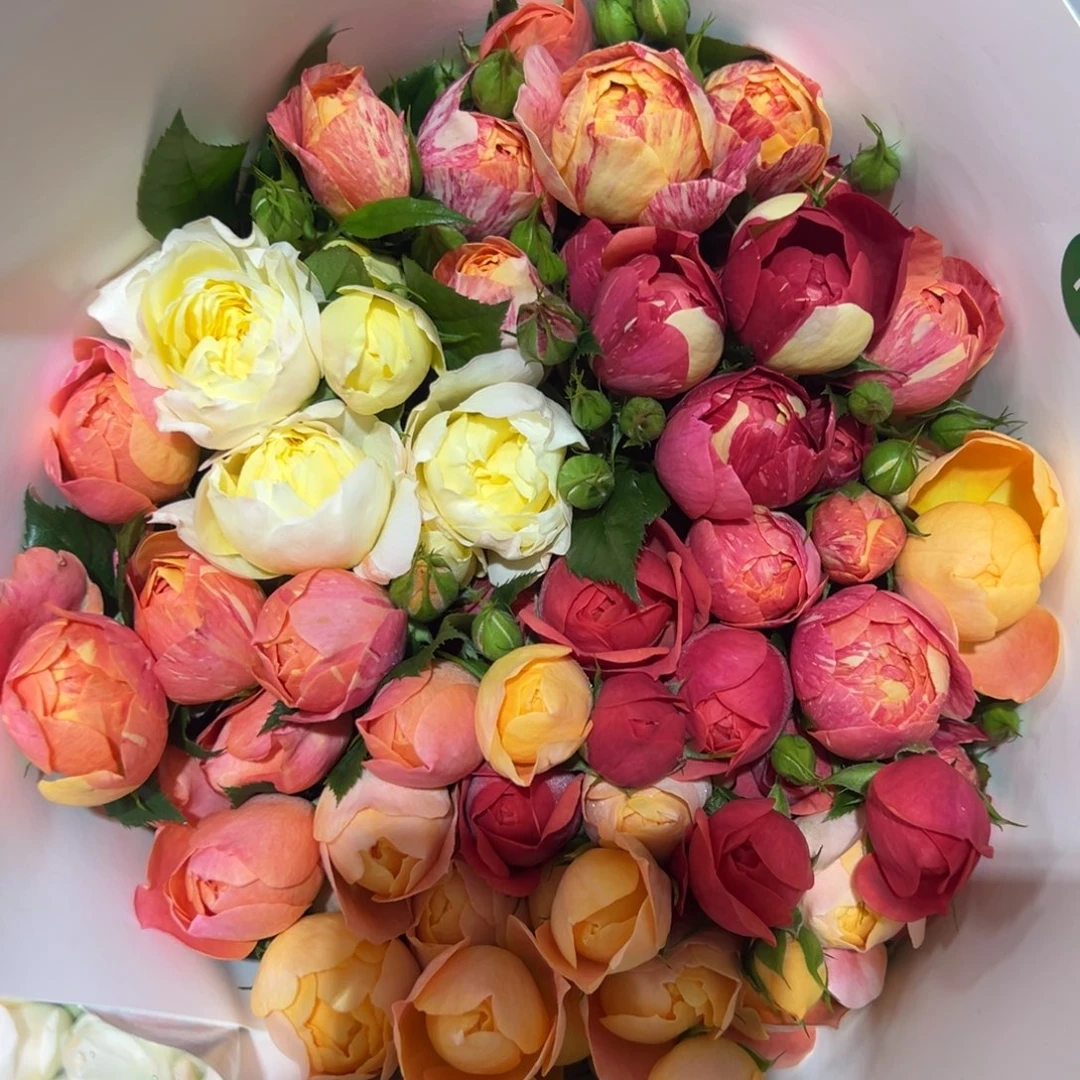 花物语 稀有果汁混10支装 拍满三单包邮