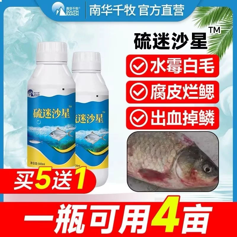硫醚沙星水产养殖常备鱼用水霉清白毛腐皮烂鳃烂尾水霉净液态畜牧