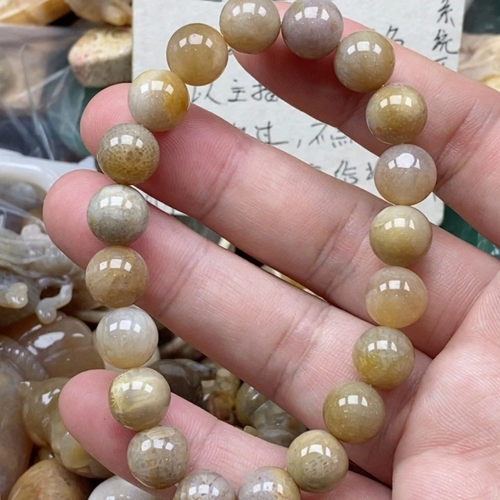 硅化珊瑚（珊瑚玉）未镶嵌颈饰