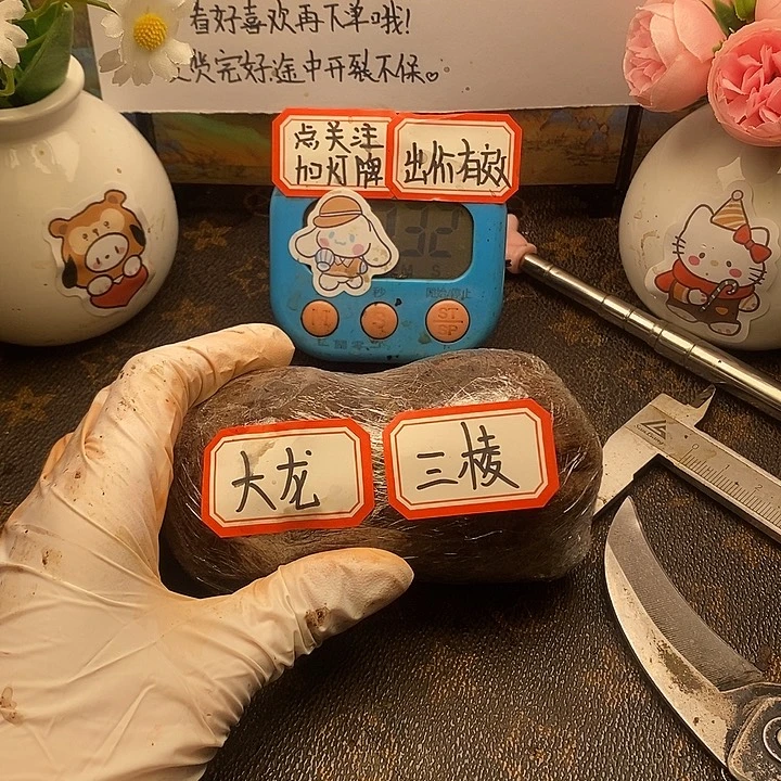 ****哥真哥真哥真哥真哥