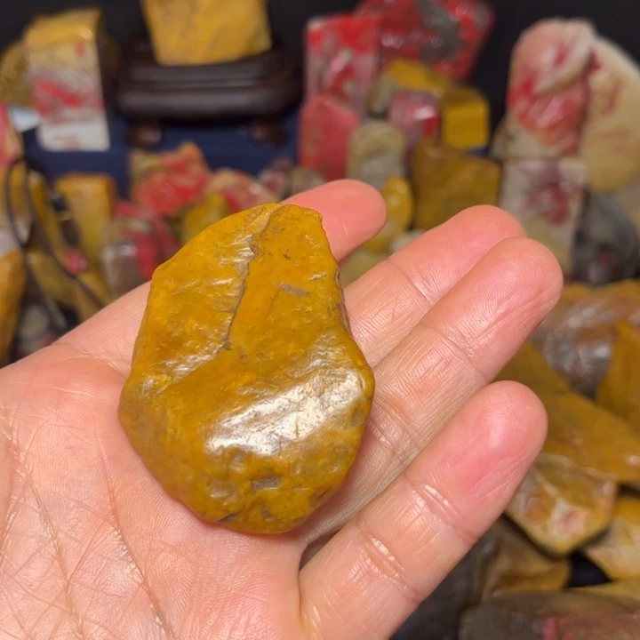 苍***晨昌化石国石昌化石