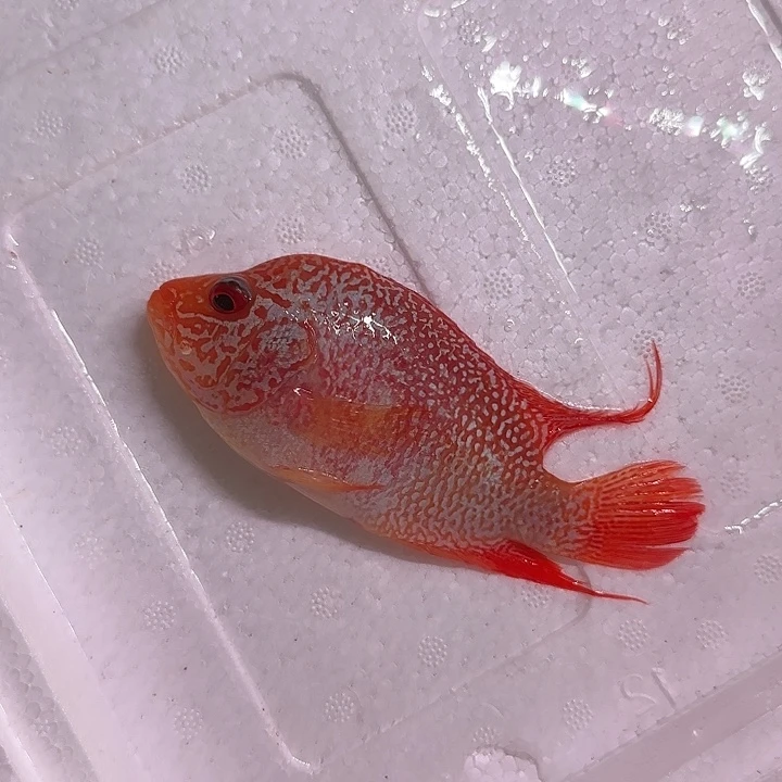 海水啊啊啊啊啊啊啊啊啊