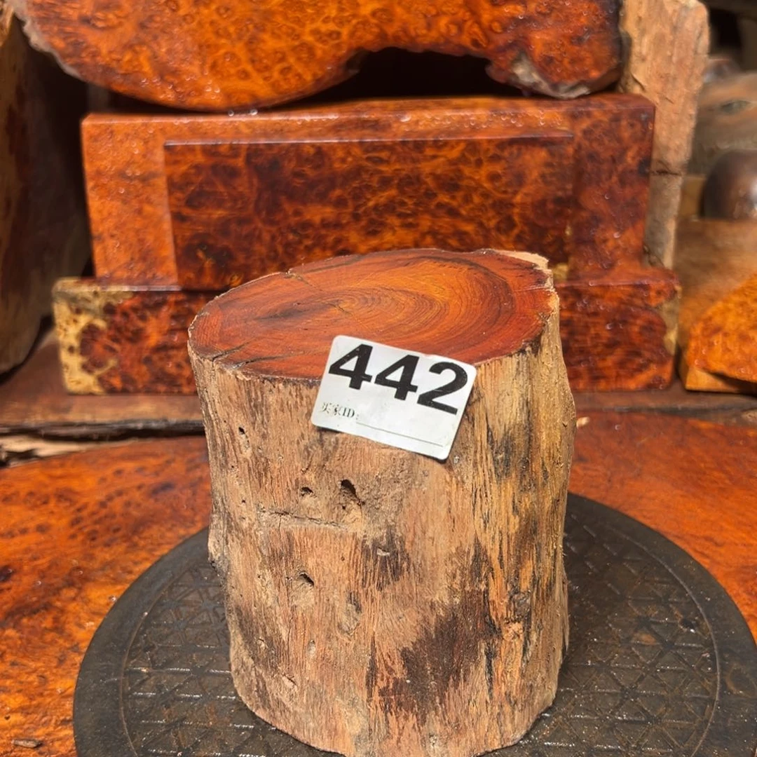 大果紫檀（缅甸花梨）