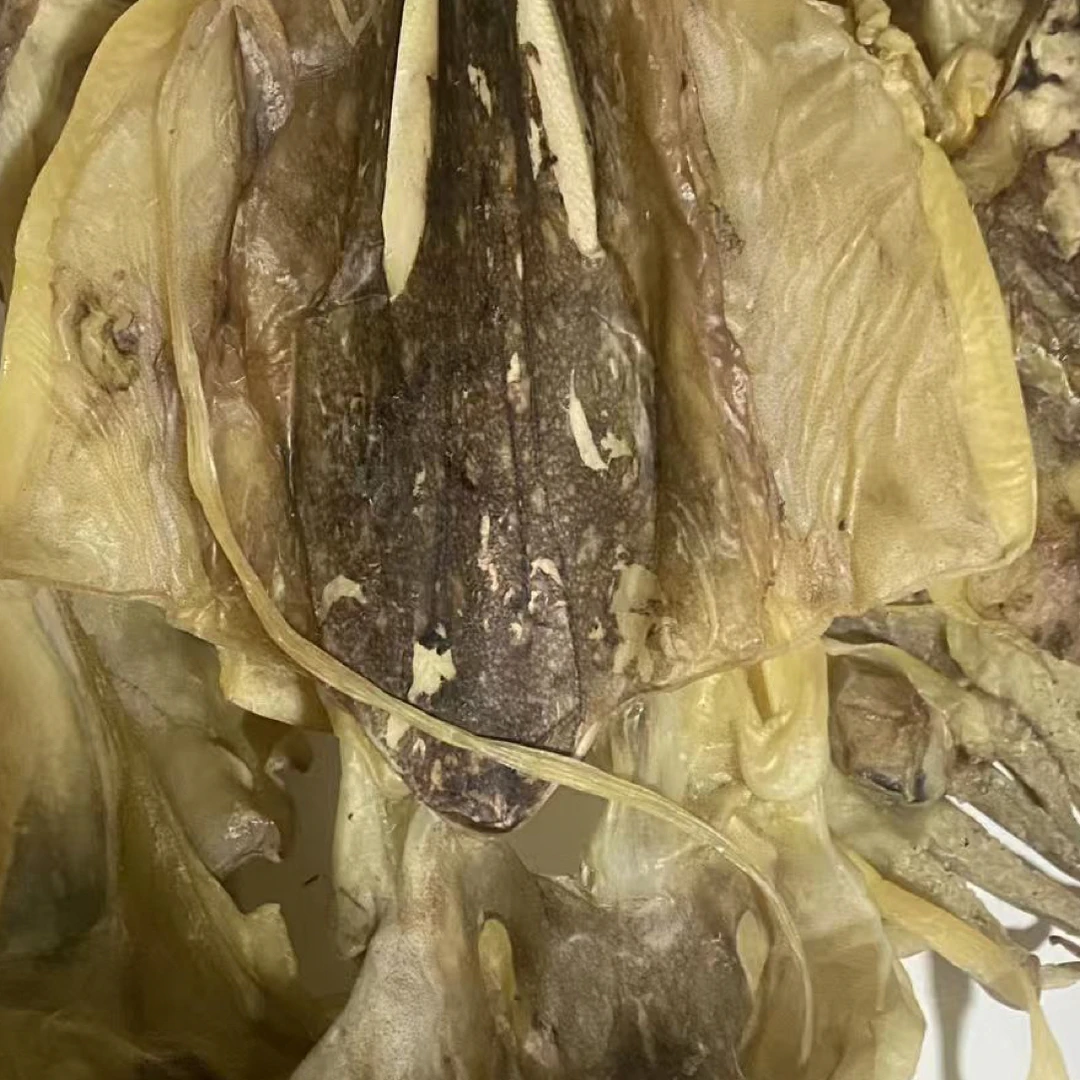 新鲜本地墨鱼干一斤装