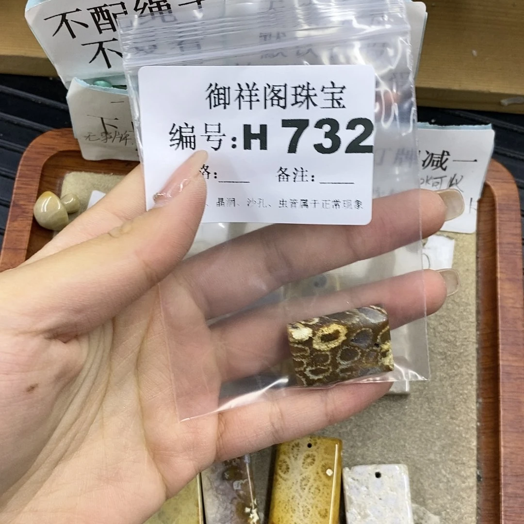 硅化珊瑚（珊瑚玉）未镶嵌颈饰白****猫
